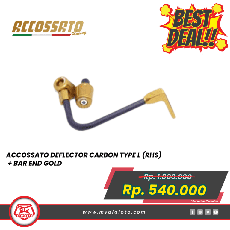 garage ACCOSSATO DEFLECTOR CARBON TYPE L gold